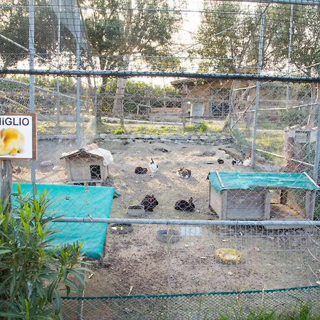 Fassi Çiftlik konaklama