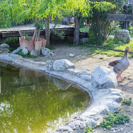 Fassi Bauernhof Guardavalle