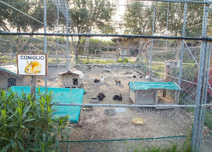 Fassi Alojamento de Turismo Rural