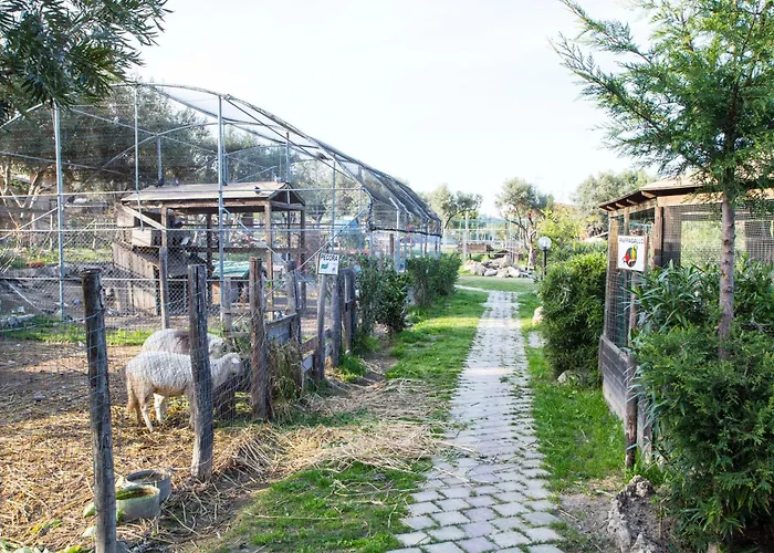 Alojamento de Turismo Rural Fassi