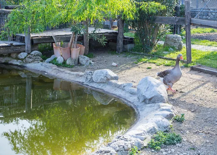 Fassi Alojamento de Turismo Rural Guardavalle